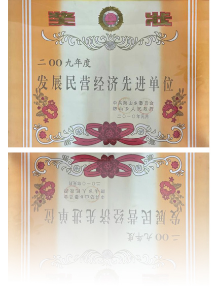 發(fā)展民營經濟先進單位